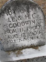 Aby Goodwin Aby Goodwin