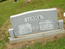 Ada Luster Ada Luster