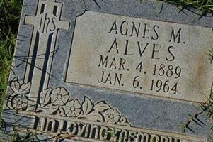 Agnes M. Alves