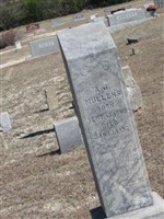 A J Mullins