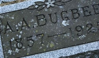 Albert Alcott Bugbee
