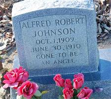 Alfred Robert Johnson