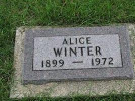 Alice Winter