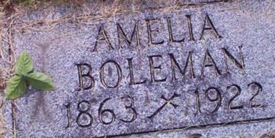 Amelia Boleman