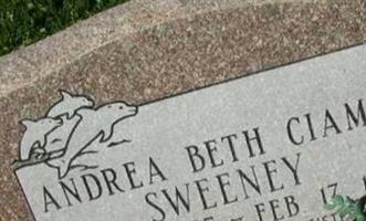 Andrea Beth Ciampi Sweeney