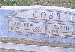 Andrew Lewis Cobb