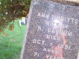 Ann Tibbitts Cadnum Ann Tibbitts Cadnum
