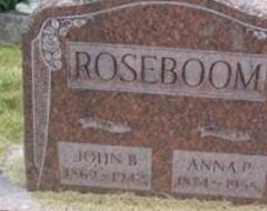 Anna P Roseboom