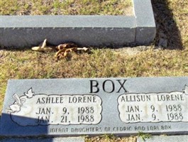 Ashlee Lorene Box