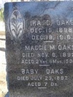 Baby Oaks