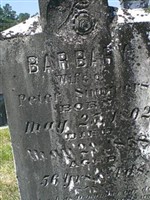 Barbary Summers