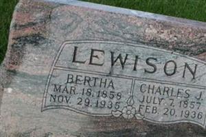 Bertha Larson Lewison