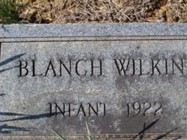 Blanch Wilkins