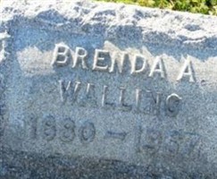 Brenda A. Anderson Walling