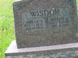 Camilla Ann Irwin Wisdom