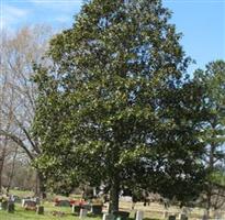 Carbondale Cemetery