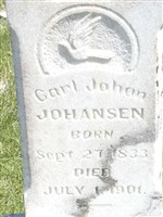 Carl Johan Johansen