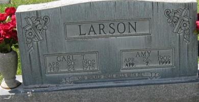 Carl T Larson