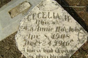 Cecelia H. Horton