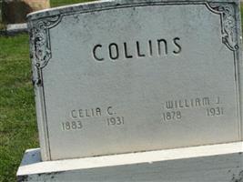 Celia C. Collins
