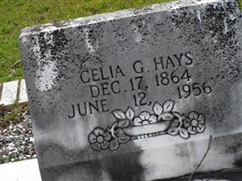 Celia Garner Collins Hays