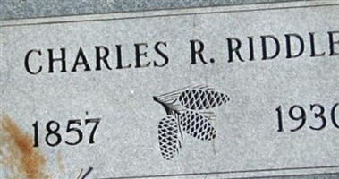 Charles D Riddle