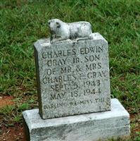 Charles Edwin Gray, Jr