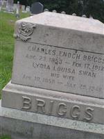 Charles Enoch Briggs