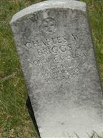 Charles Walter Briggs