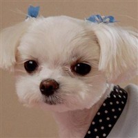 CoCo Takahashi CoCo Takahashi