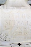 Cornelius R Schwarz Cornelius R Schwarz
