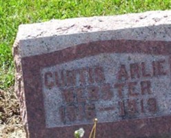 Curtis Arlie Webster
