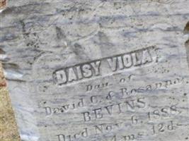 Daisy Viola Bevins