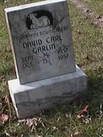 David Carl Garlin