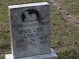 David Carl Garlin