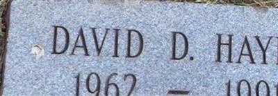 David D. Hayes