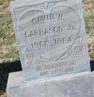 David H Carrasco, Jr