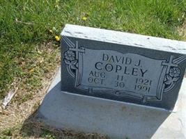 David J. Copley