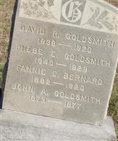 David R. Goldsmith