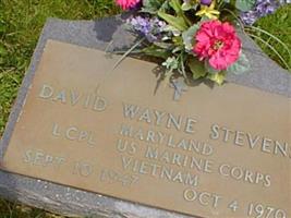 David Wayne Stevens