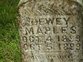 Dewey Maples
