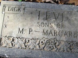 Dick Levi