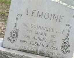 Dominique Lemoine