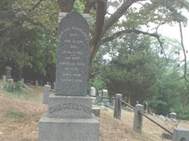 Dr Judson C Shackelton Dr Judson C Shackelton