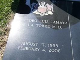 Dr Pedro L Tamayo
