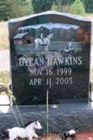 Dylan Hawkins