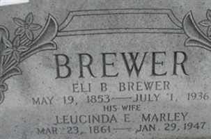 Eli B. Brewer