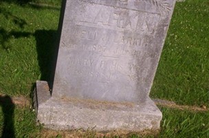 Eli Larkin