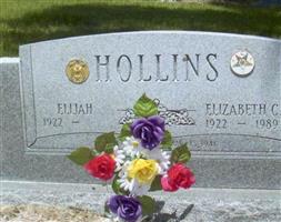 Elijah Hollins
