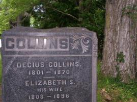 Elizabeth Collins